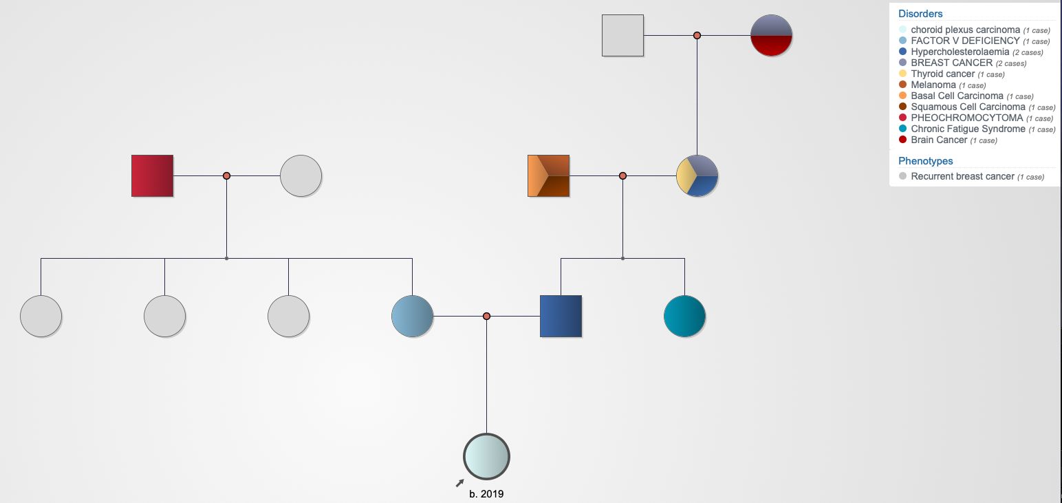 pedigree 1